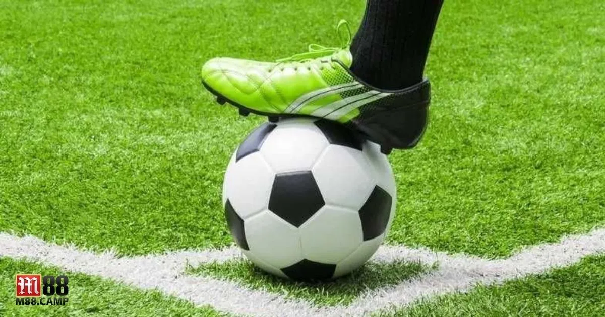 Kèo Giao Bóng Trước M88 - Cách Đặt Cược Và Chiến Thuật 4 Mẹo theo dõi thống kê đội nào thường có quyền giao bóng trước