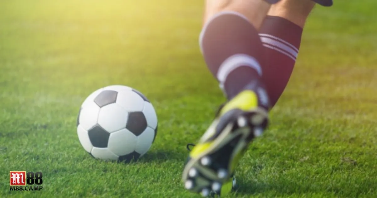 Kèo Giao Bóng Trước M88 - Cách Đặt Cược Và Chiến Thuật 4 Khi nào nên đặt cược vào đội chủ nhà?