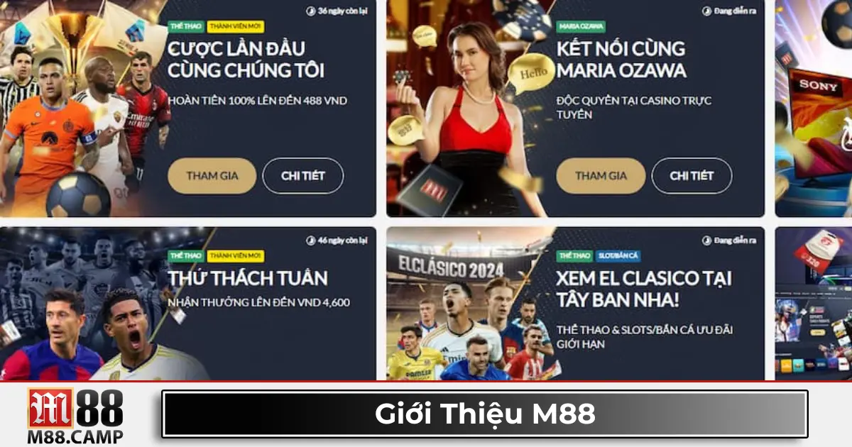 Hệ sinh thái cá cược đa dạng: Thể thao, Casino, Xổ số & Game Slot