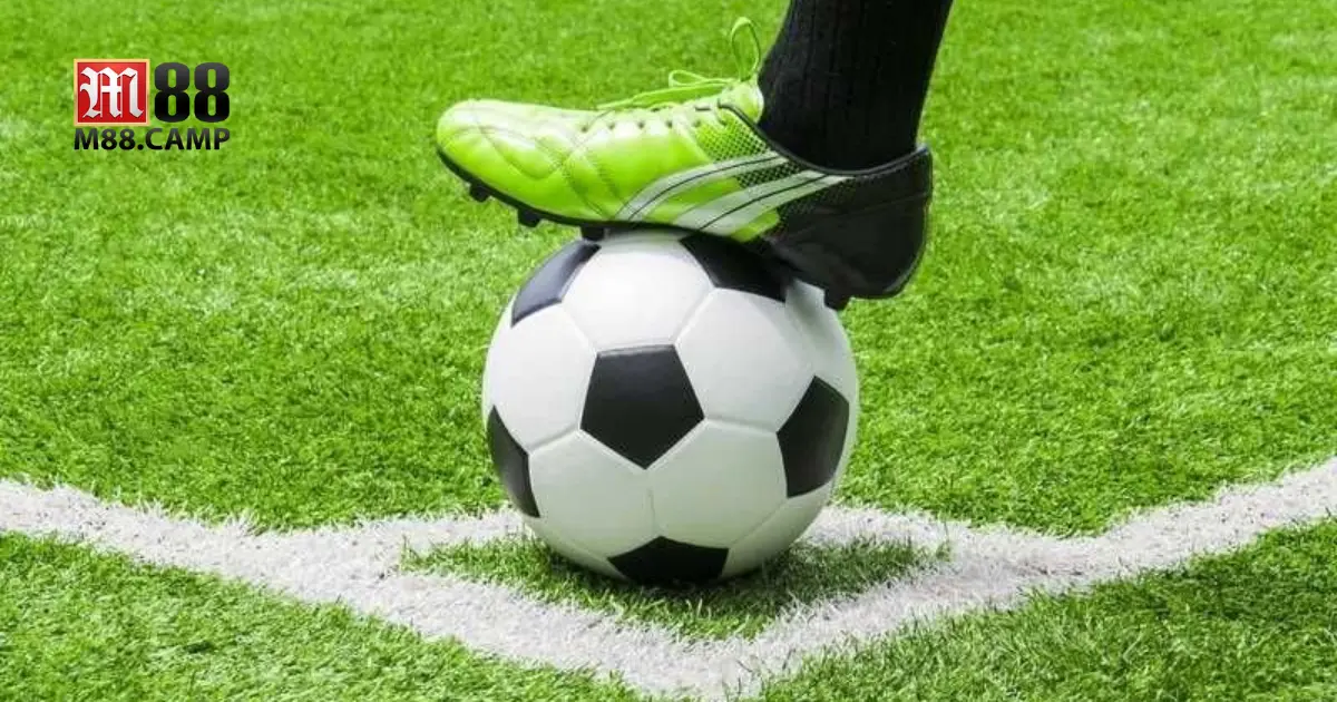 Cách đọc kèo 0.5 để đặt cược hiệu quả