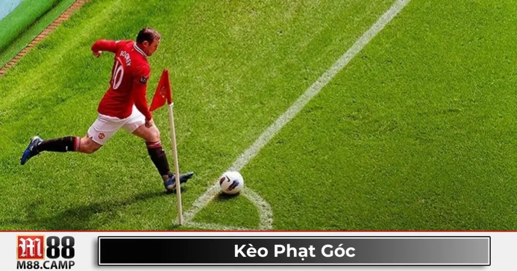 Kèo phạt góc là gì? Giới thiệu về loại kèo đặc biệt trong cá cược bóng đá