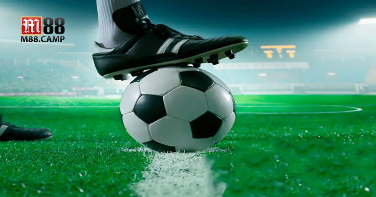 Kèo Tài Xỉu M88 - Hướng Dẫn Đọc Kèo Và Dự Đoán Chính Xác 4 Khi nào nên đặt cược vào cửa tài?