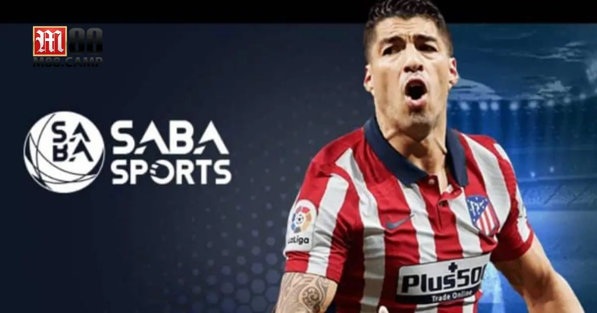 Saba Thể Thao M88 - Hệ Thống Cá Cược Ảo Độc Đáo Bậc Nhất 4 Cá cược quần vợt ảo – Cách phân tích dữ liệu trước trận đấu