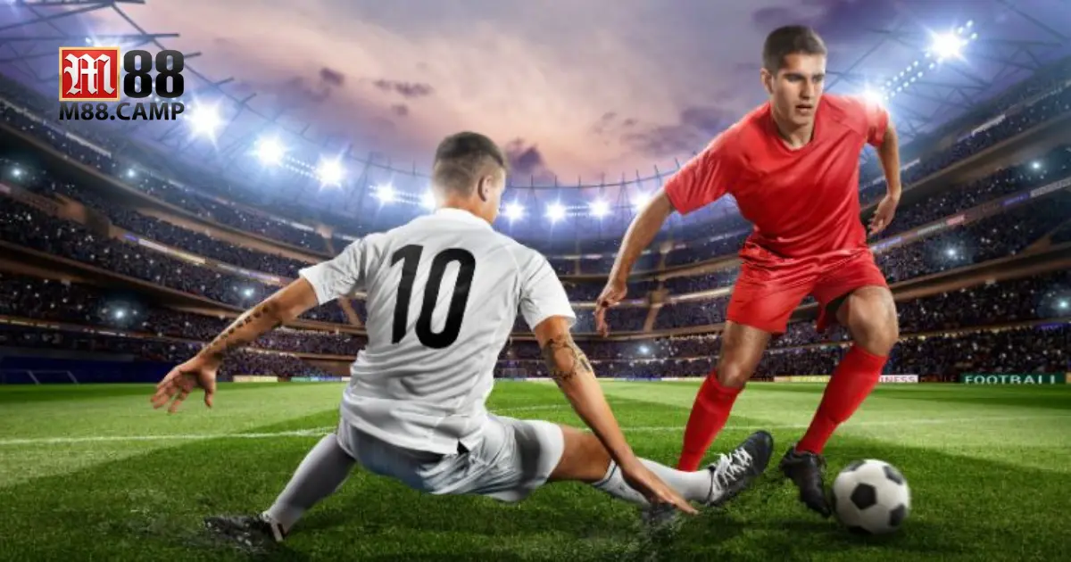 Các loại hình cá cược phổ biến tại Sảnh V thể thao M88