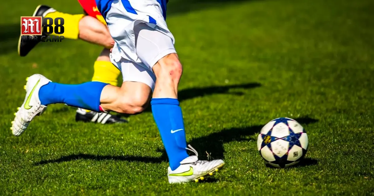 Các kèo cược hấp dẫn trên SBO thể thao