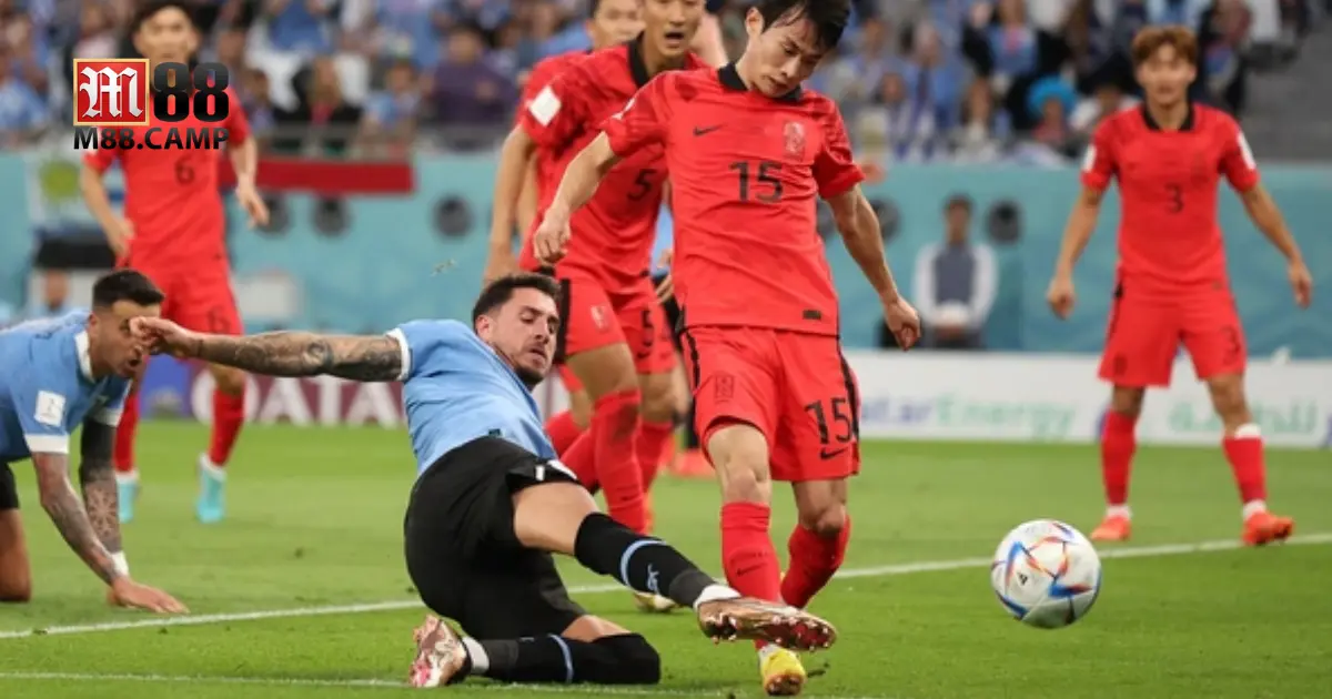 Cách soi kèo thể thao chính xác tại M88