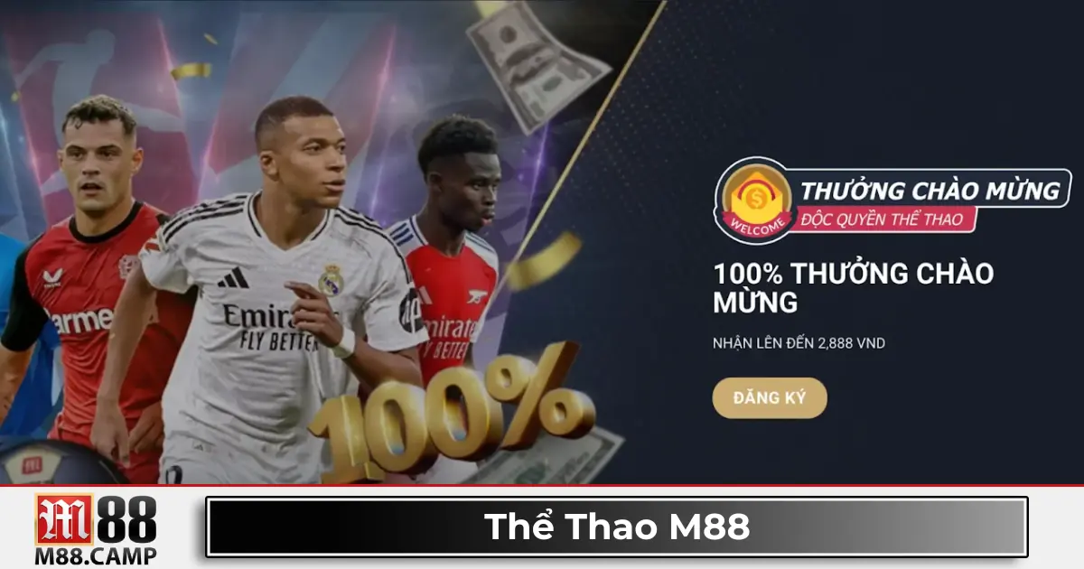 Cá cược bóng rổ NBA – Mẹo đặt cược Handicap hiệu quả